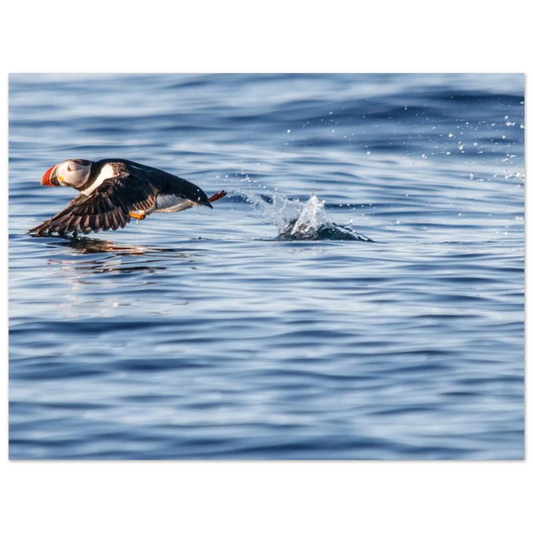 34db5a59-1409-40d9-91a5-8c2196f65482