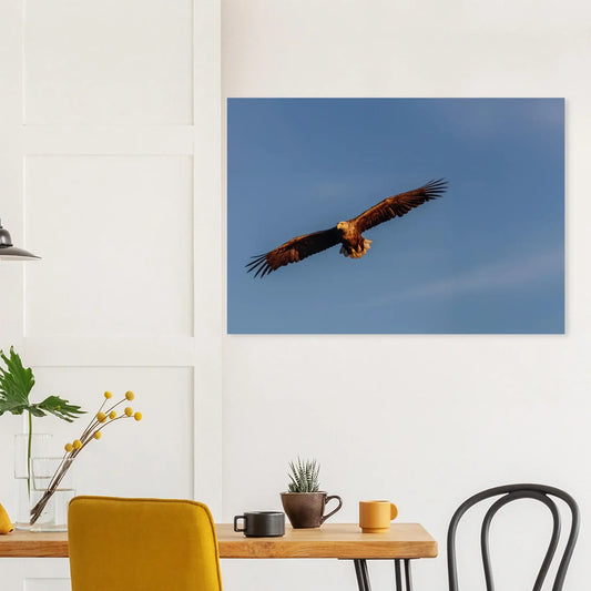 4dc46009-856d-4a5d-bc2d-811757f393ed