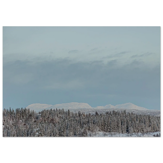 70b1aa2d-bf70-4f0d-a0a5-a72a7f36bd52