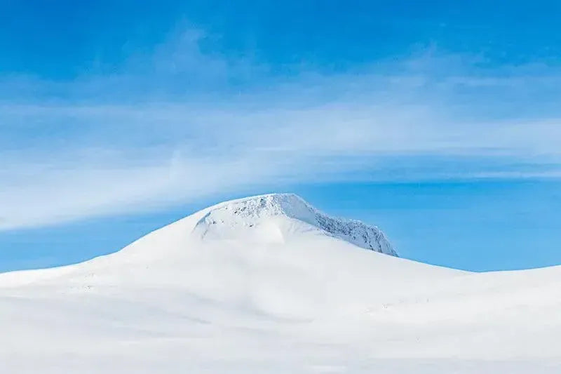 Fjellro – fotofryd.no veggbilder