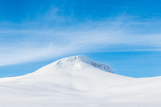 Fjellro – fotofryd.no veggbilder