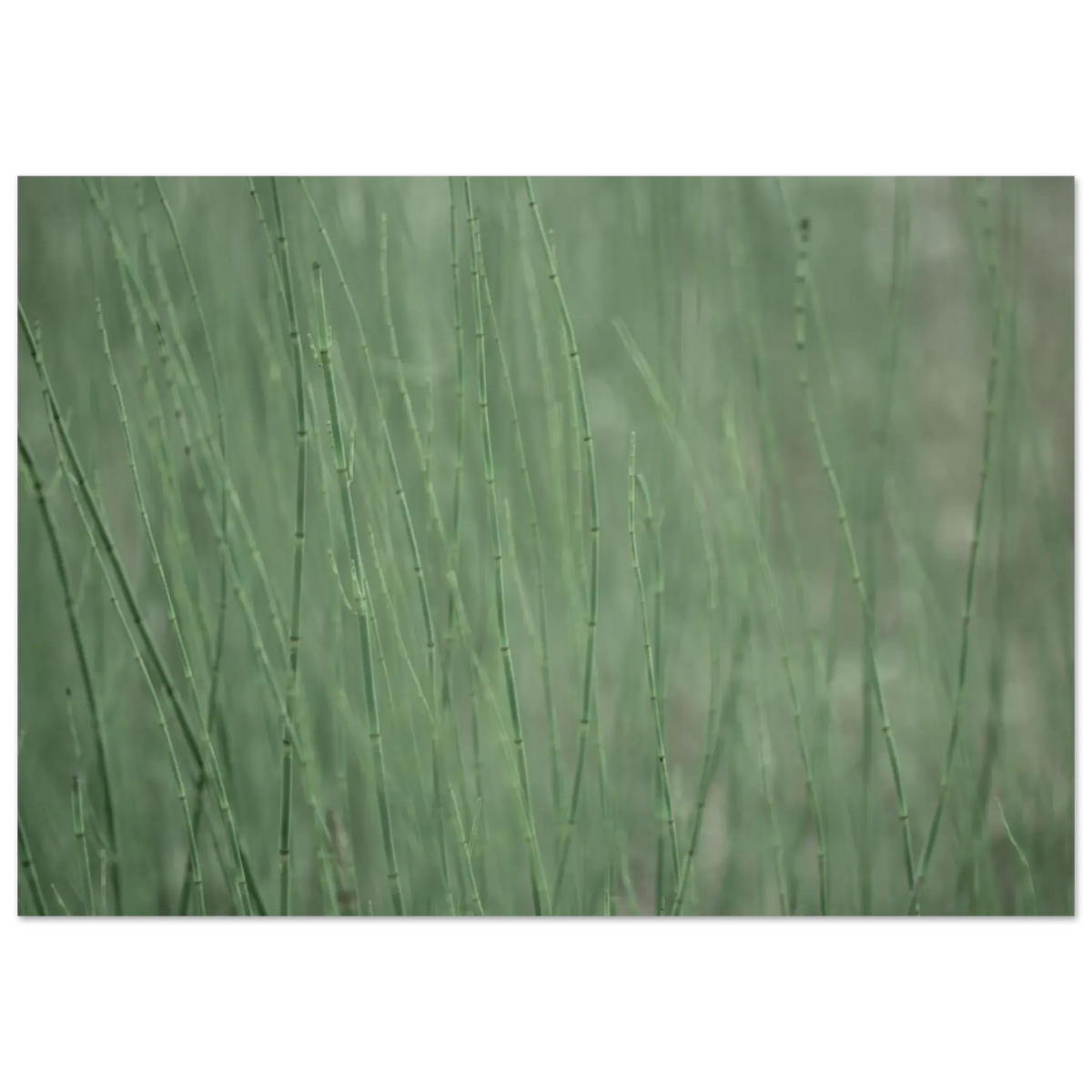 05f78470-f580-4057-8430-d8ec5deab9c6