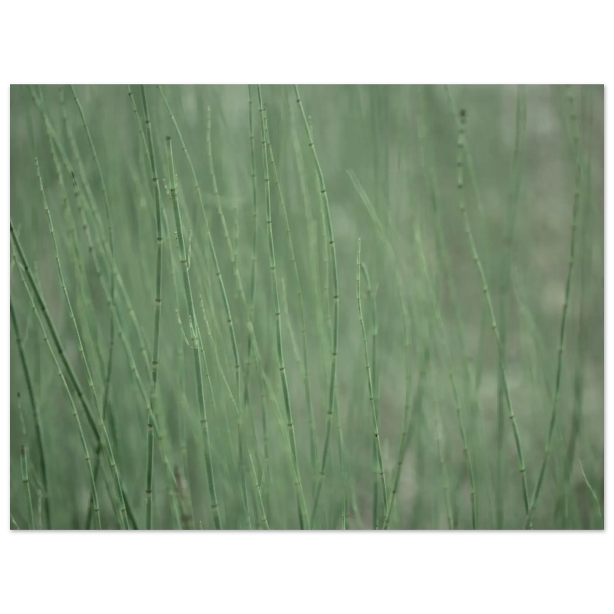 a86e104e-7d7a-4aa3-94b5-15ce1aa6bba4