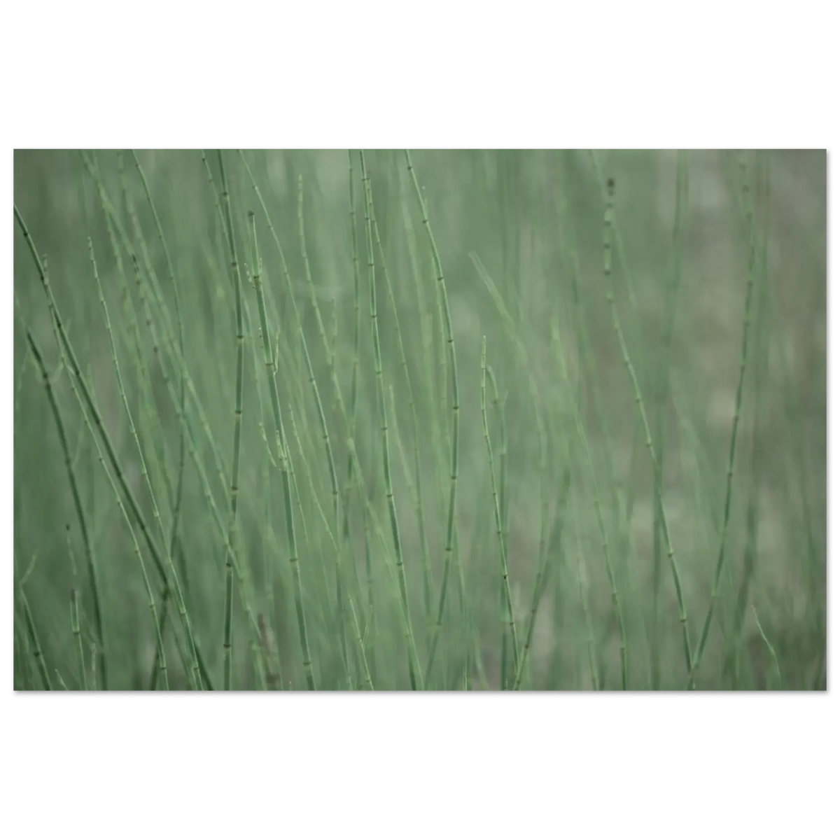 c2e78f08-09ac-4f14-ad9c-6b6d7304e0a7