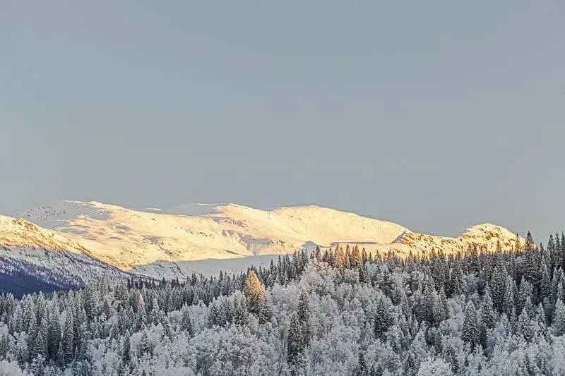 Kangsten i vinterlys – sett fra Korgen