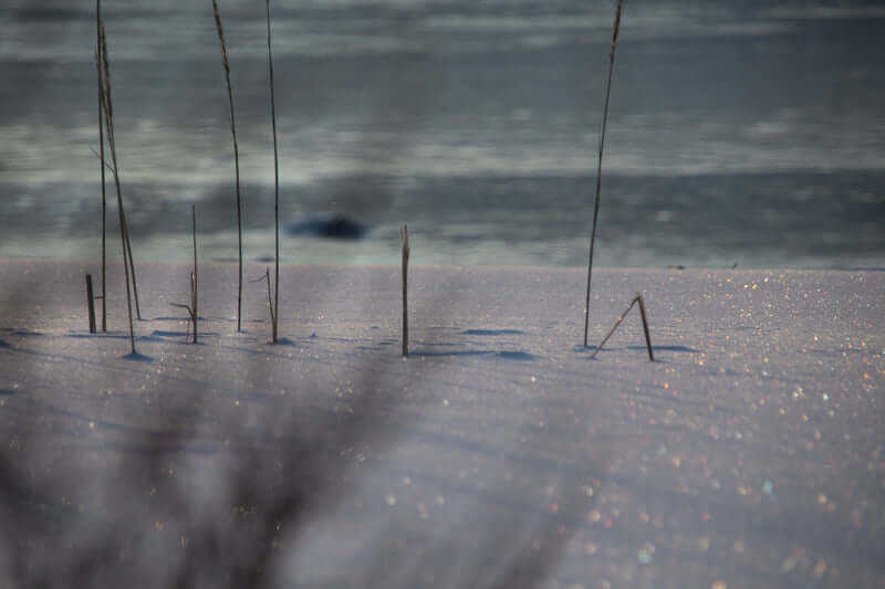 Peaceful – Fotografisk kunst med naturens stille skjønnhet