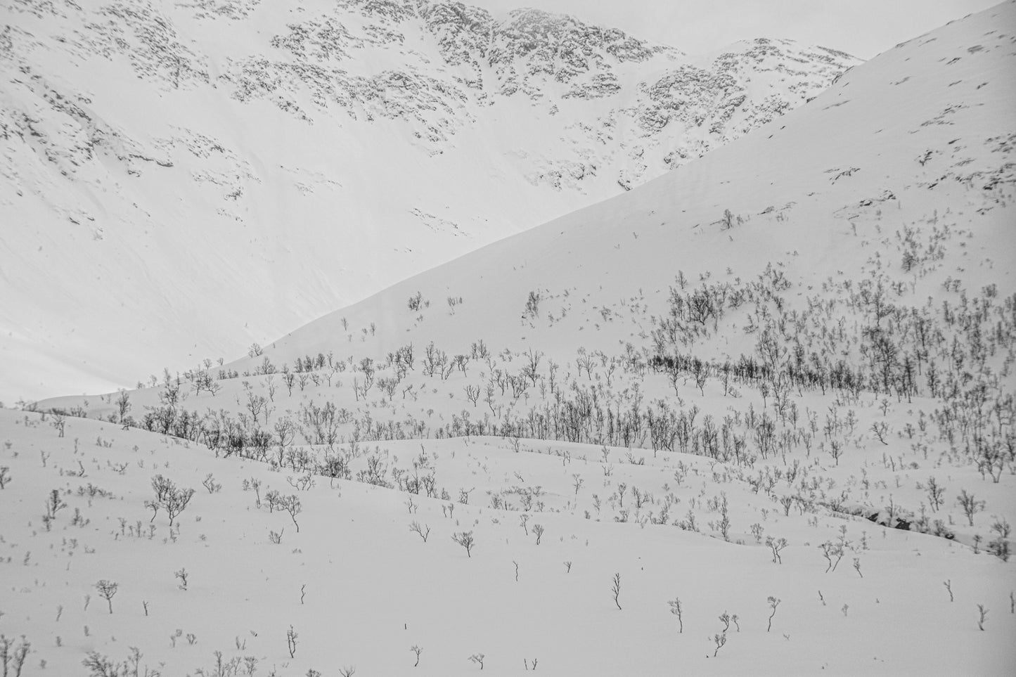 Vinterlandskapets ro – minimalistisk skjønnhet