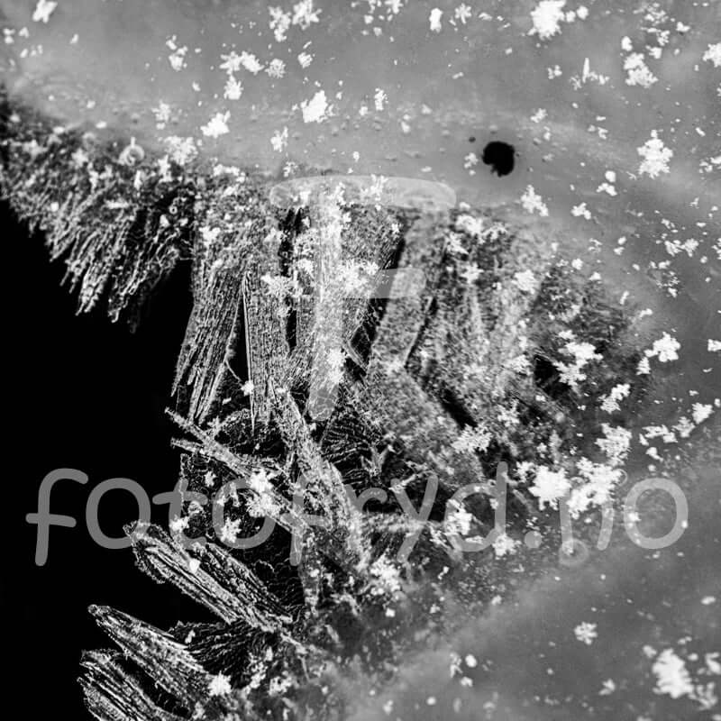 Iskrystallenes magi i svart-hvitt