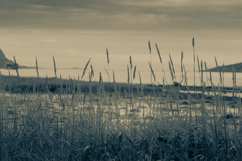 Naturens Ro – Fotografier fra Fjæra på Nesnastranda