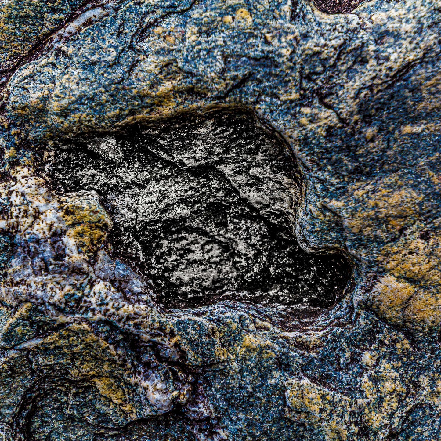 Teatralsk naturkunst – Eksklusivt veggbilde i blått og gull