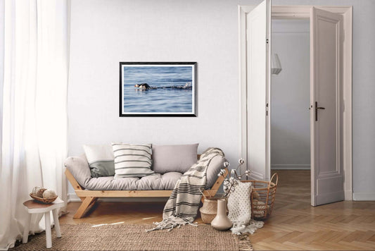 Lundefugl Nordisk interiør med naturmotiv – Fotografisk kunst for ro og stil