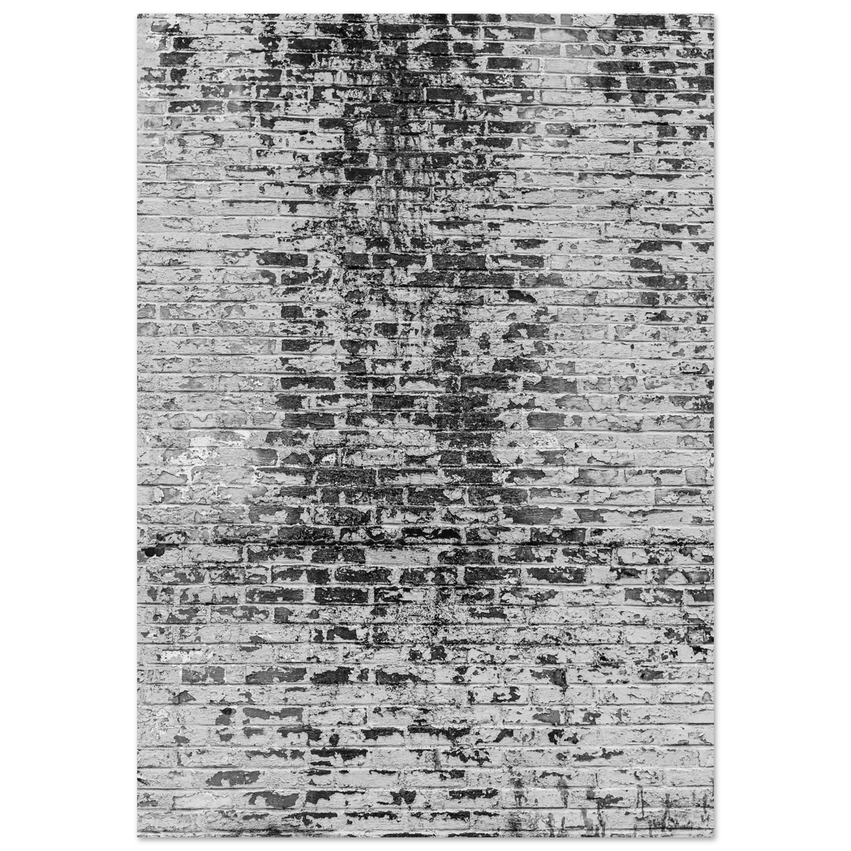 ad1d7d4b-1d2d-4296-b736-193b81853b8a
