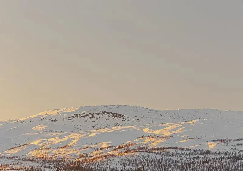 Stormyrbassenget i kveldssol – Helgeland