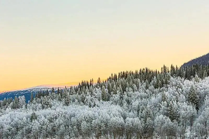 Vinterlys over Baklandet korgen