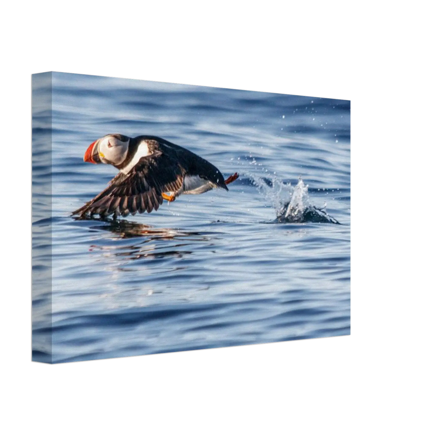 e1318363-7269-4f93-b484-cd6882810897