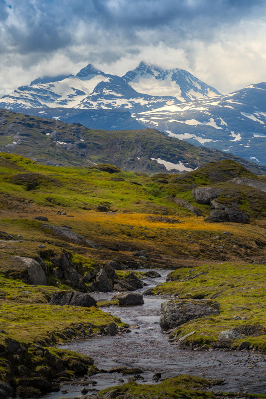 Lappfjellbekken Helgeland
