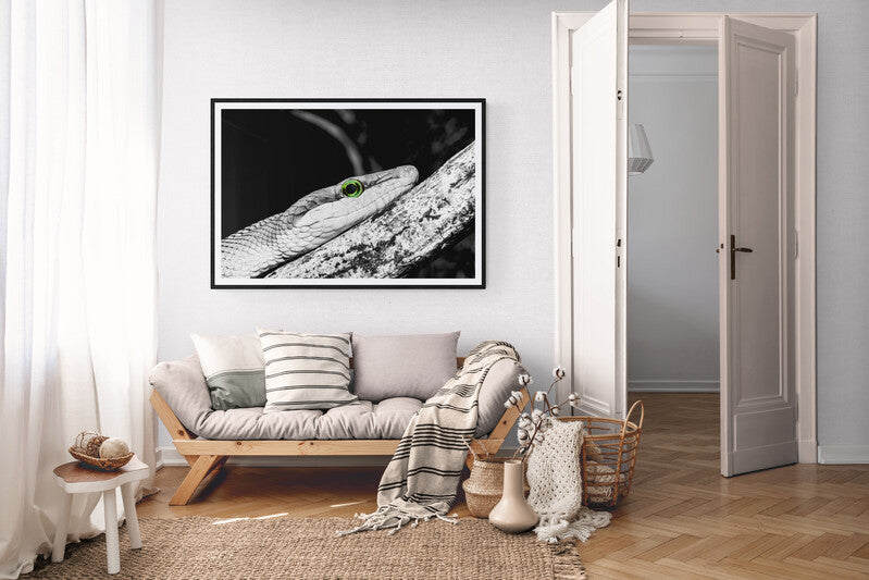 Fredelig stue med kunstverk av slange