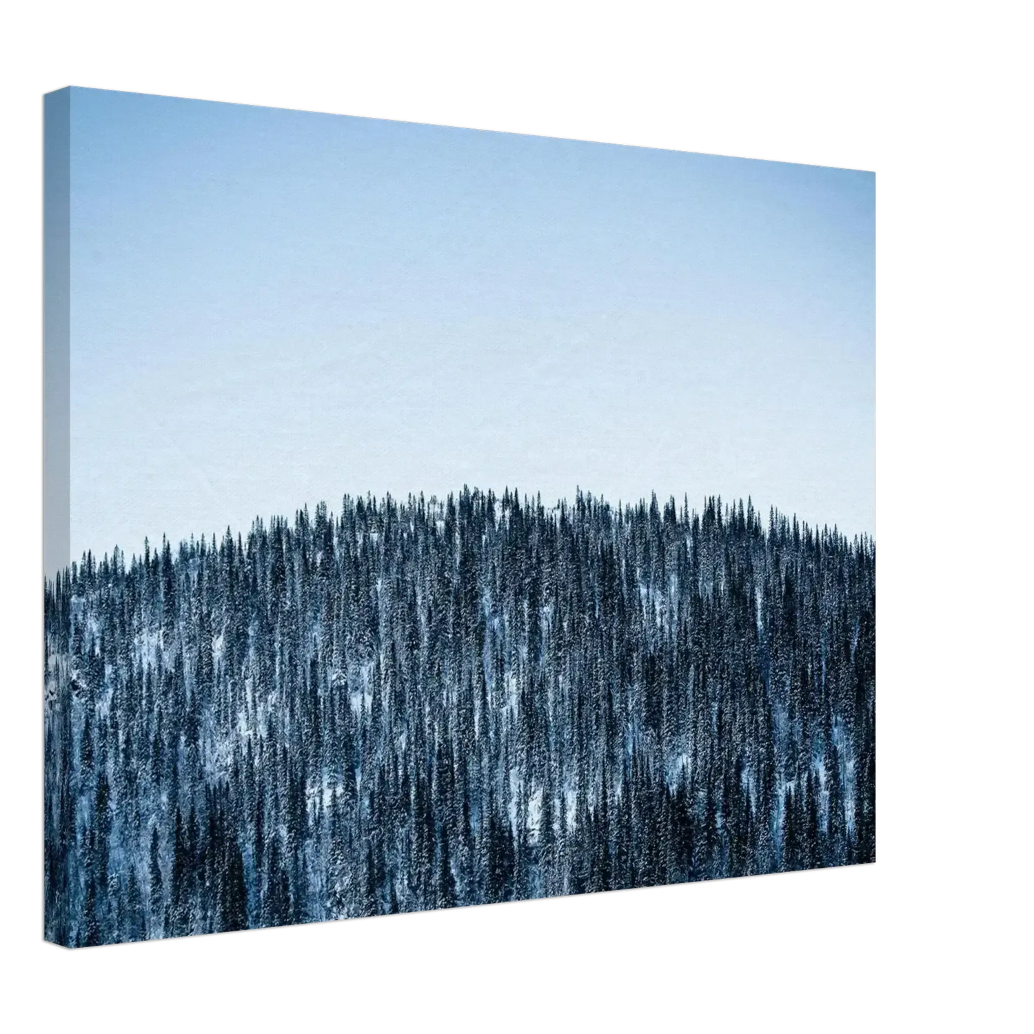 Vinterlandskap