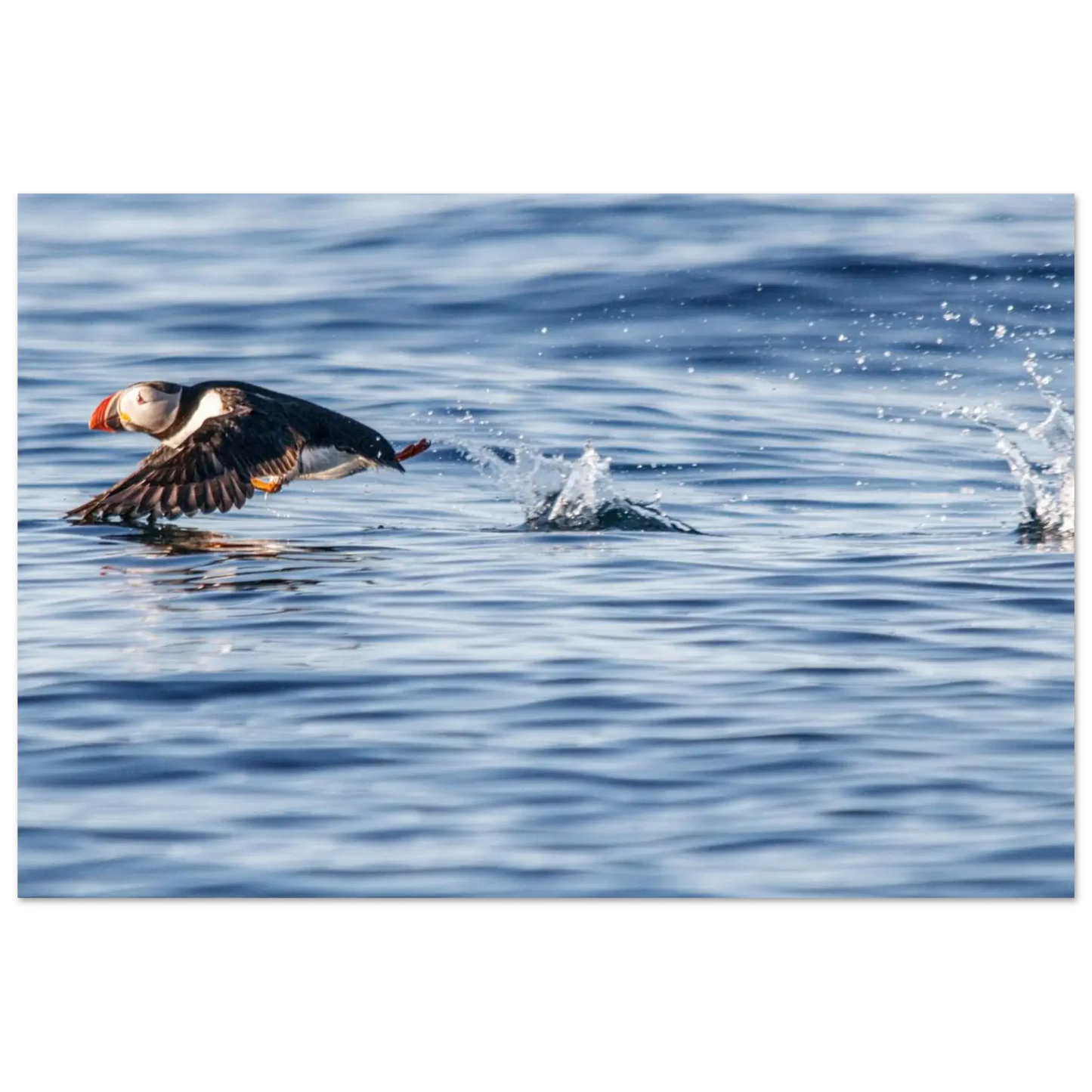 005b3593-19fd-4e35-a07b-f91b41a42fda