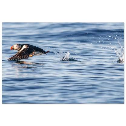 005b3593-19fd-4e35-a07b-f91b41a42fda