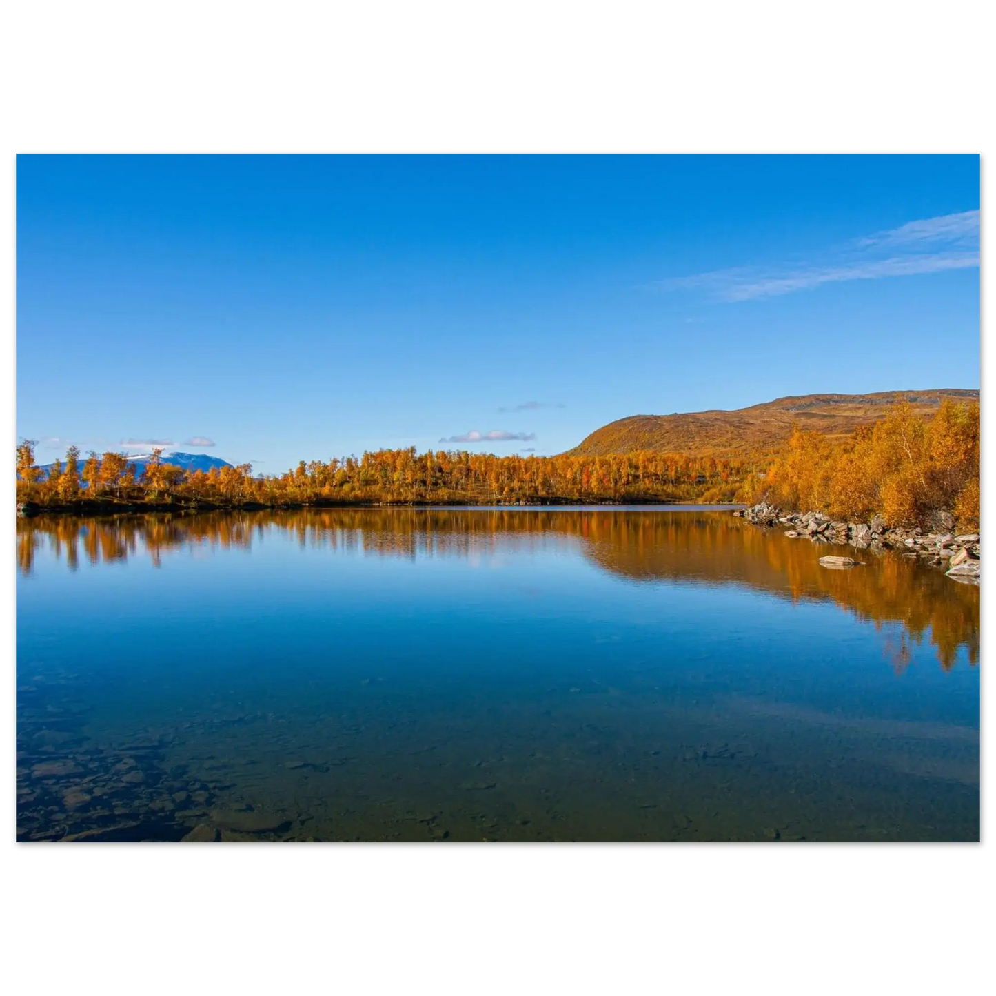 0090d9c0-dfdd-4f30-800b-bf6a4601e0c9