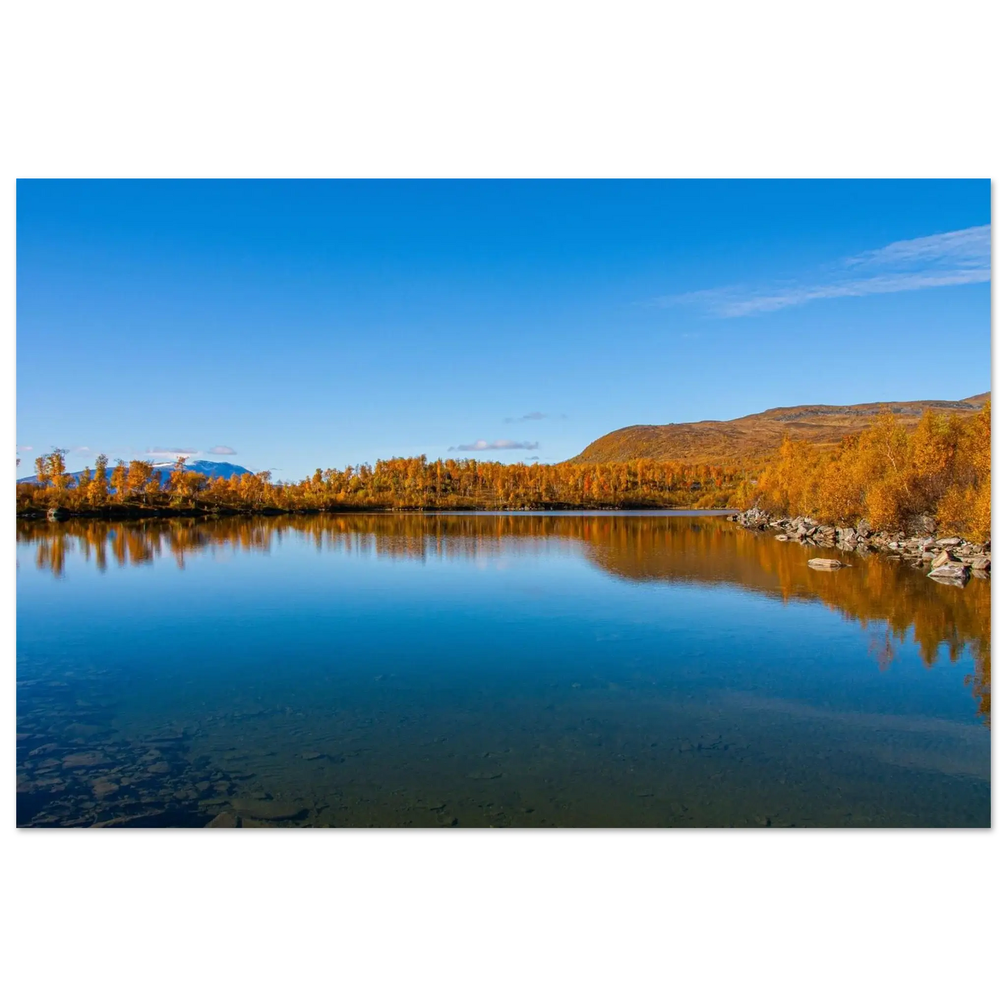 0854a894-5248-481b-ae78-d2e9eedd898e