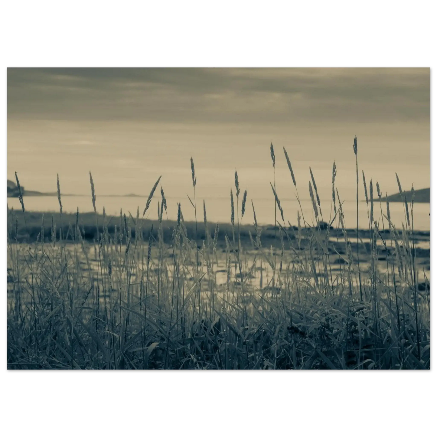 098cb715-3337-43e2-9f66-949579e1a409