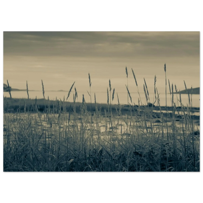 098cb715-3337-43e2-9f66-949579e1a409