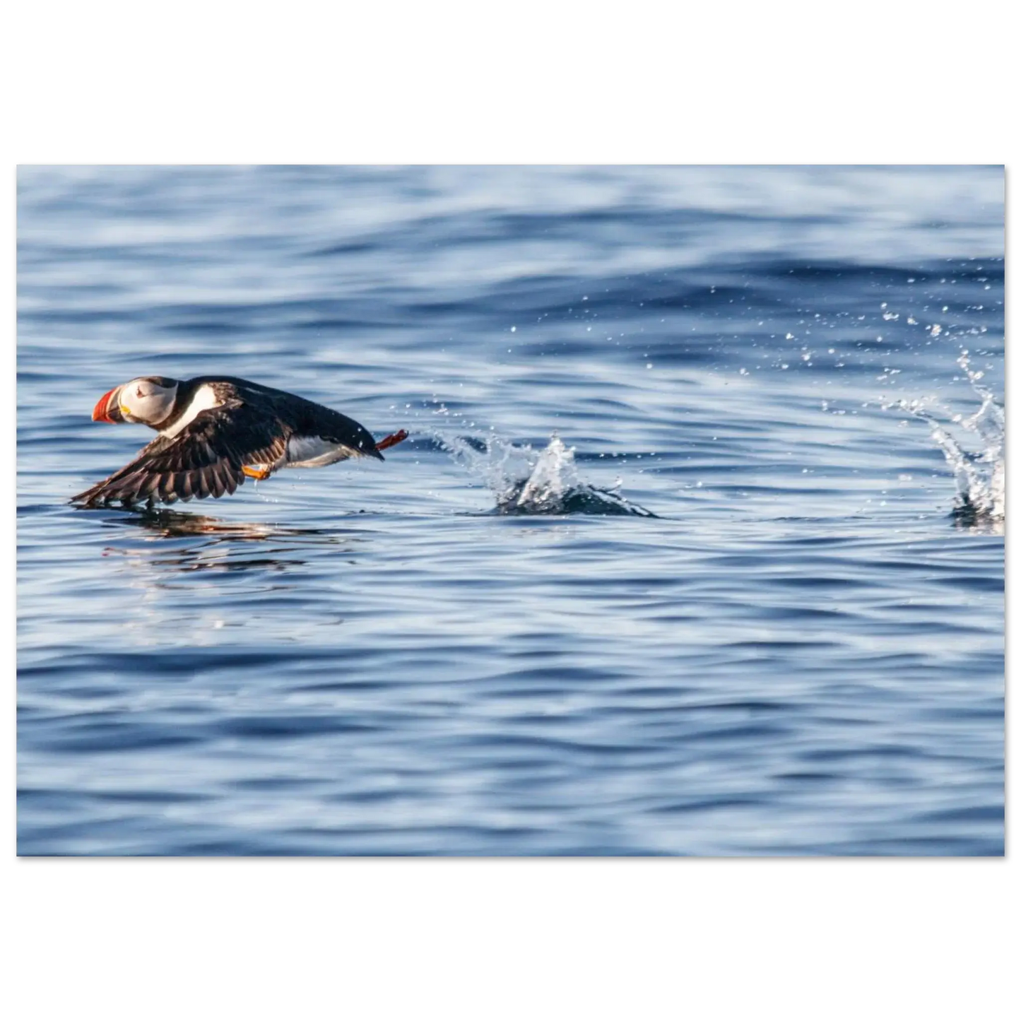 0c61304a-3243-48d5-a7c4-fb03691fa23c