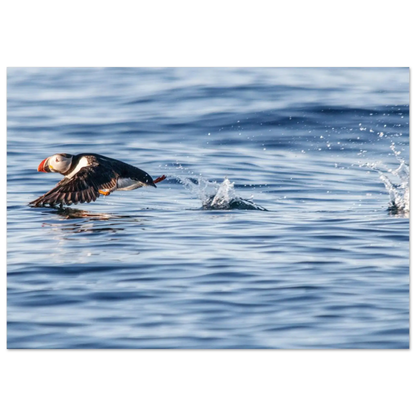 0c61304a-3243-48d5-a7c4-fb03691fa23c