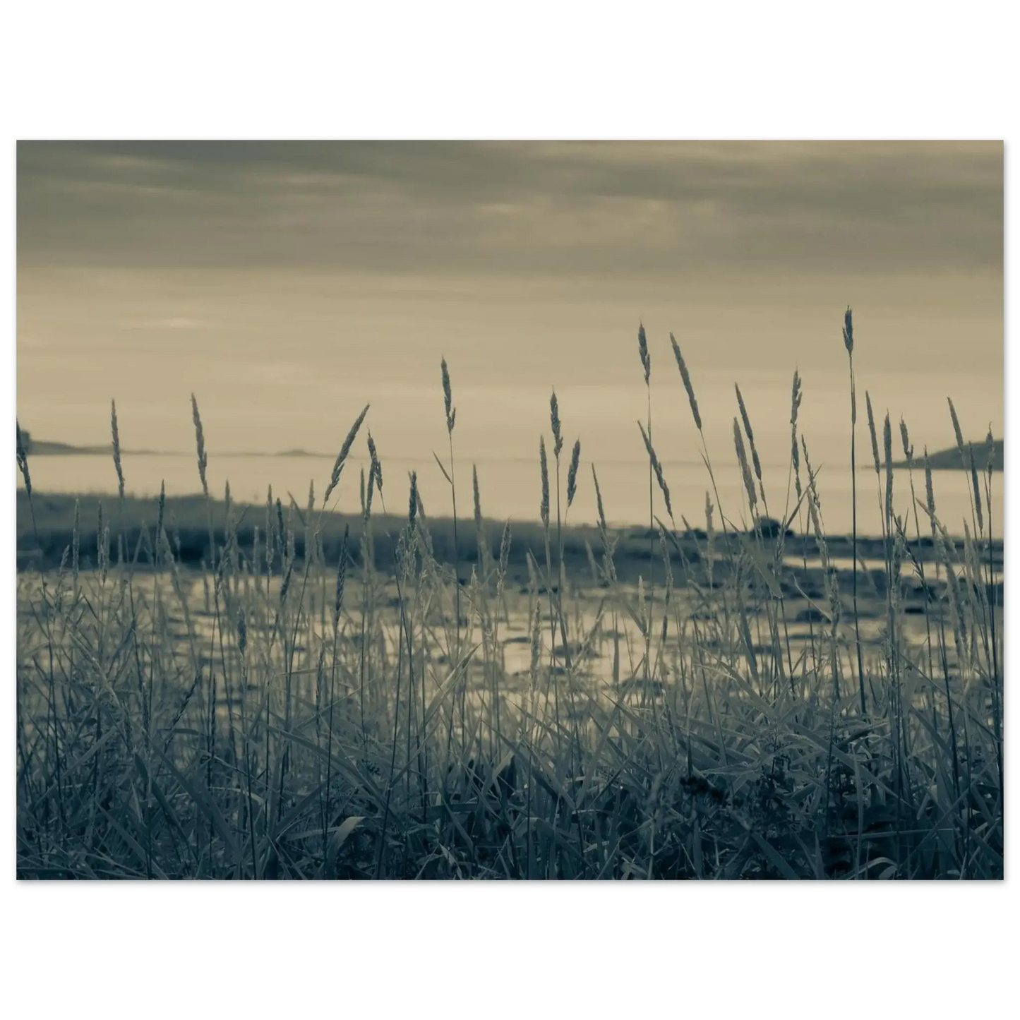 0eda1954-94c7-4b1e-8ba1-108f5a8b22f2