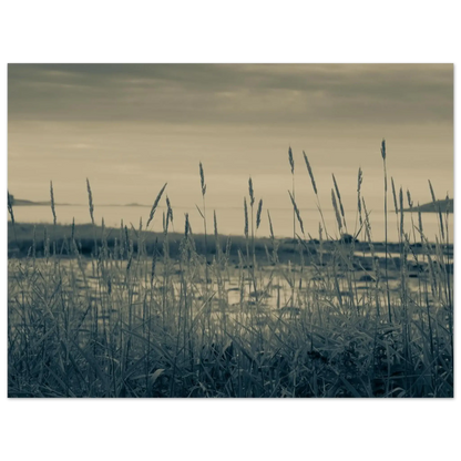 0eda1954-94c7-4b1e-8ba1-108f5a8b22f2