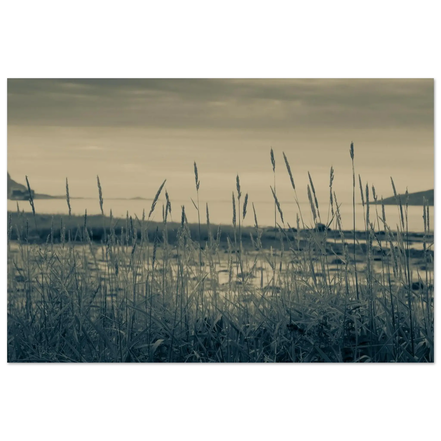 0edc4aaa-1311-4918-b186-c7c53f45a82f