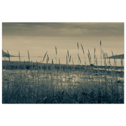 0edc4aaa-1311-4918-b186-c7c53f45a82f