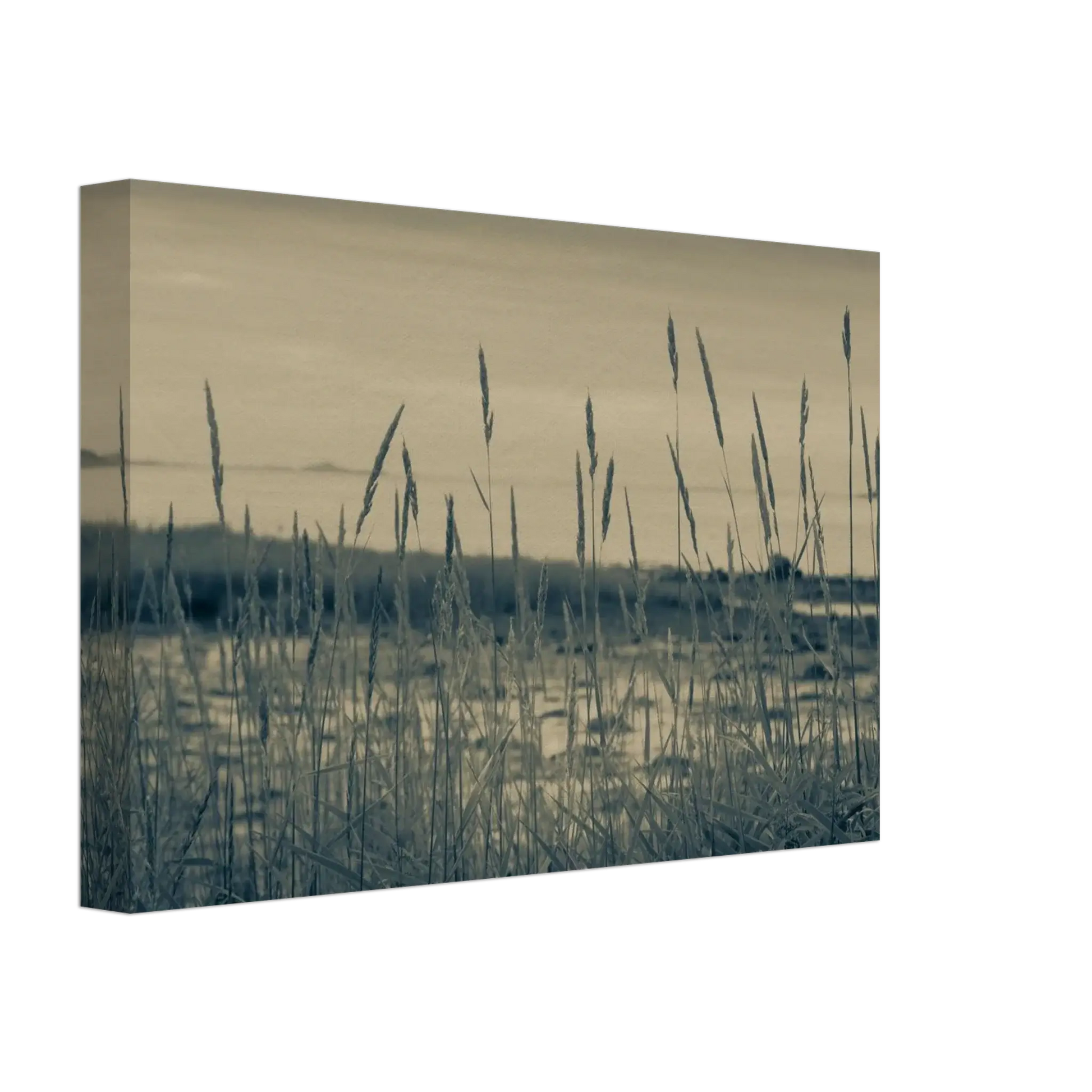 0fb6bccd-37d8-4b44-88bb-bbcbf121c58a