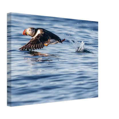 126eb481-4a7f-4b86-b10b-34d65047fc51