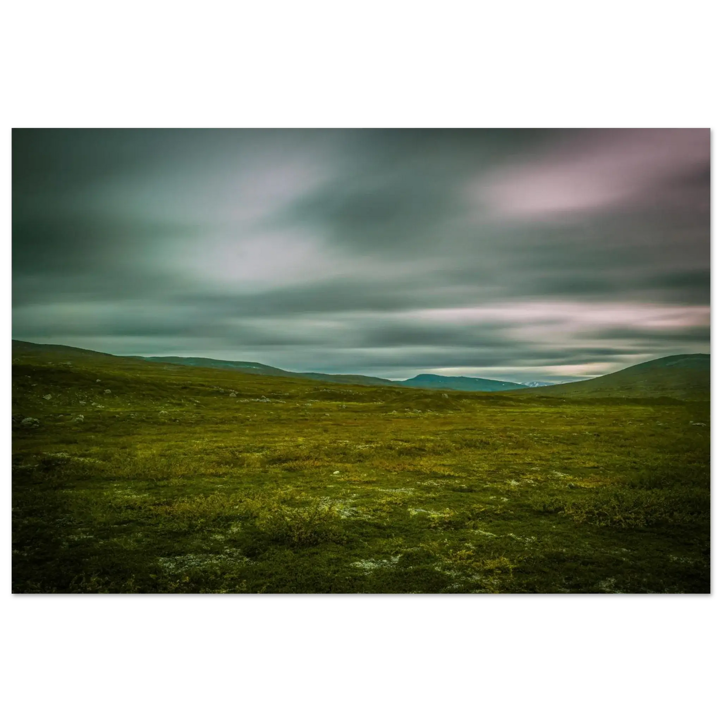 13ca718b-cb4d-47e8-a540-7338f22935cc