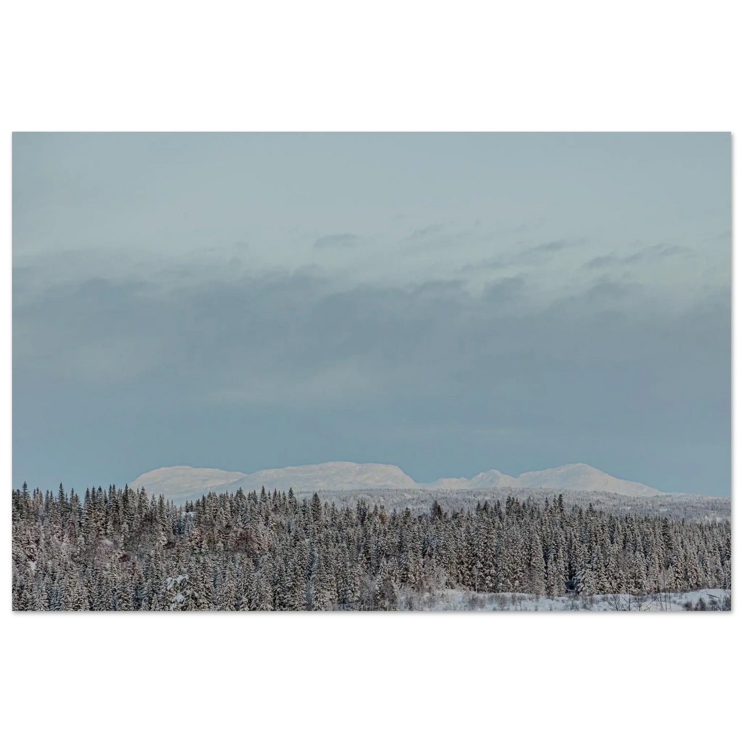 196f5c5a-8fe2-4e09-b552-435072a5e179