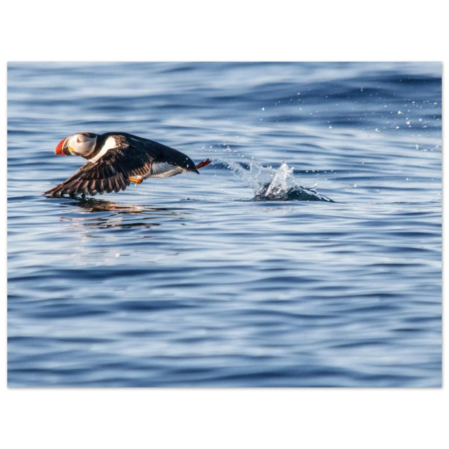 1b976465-dc78-4fcb-a541-935d29703ecc