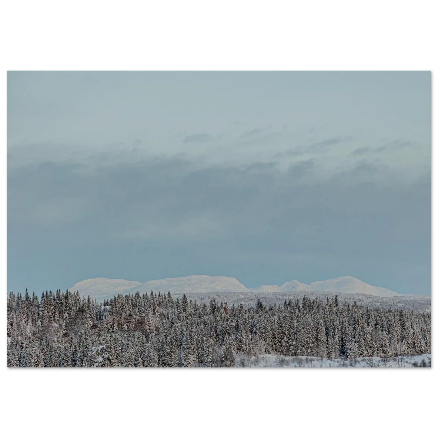 1c6e41e2-8a34-4c0f-a342-7d40cbc629f6