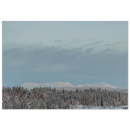 1c6e41e2-8a34-4c0f-a342-7d40cbc629f6