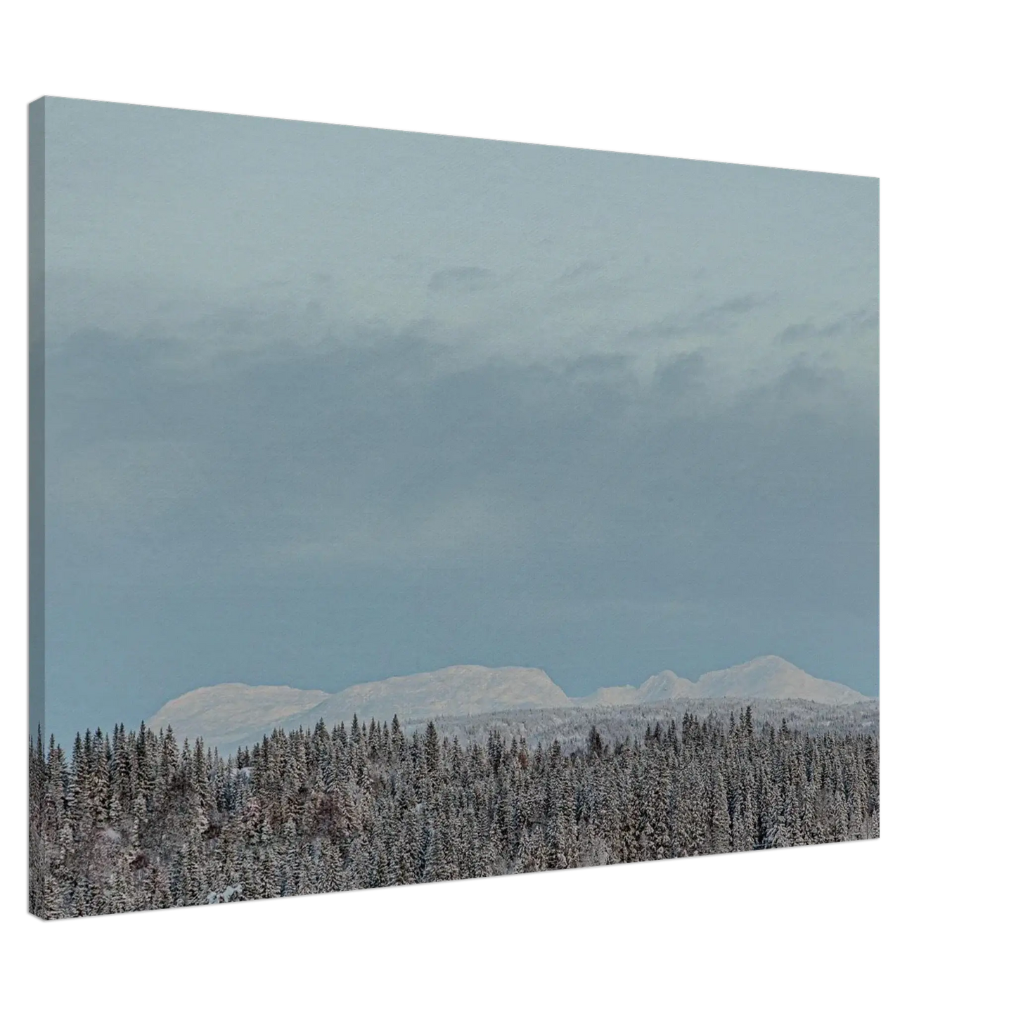 20e24ad3-96dd-4e43-98b8-8a181e72c5ee