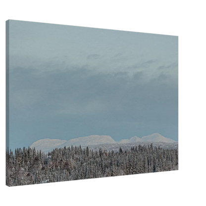 20e24ad3-96dd-4e43-98b8-8a181e72c5ee