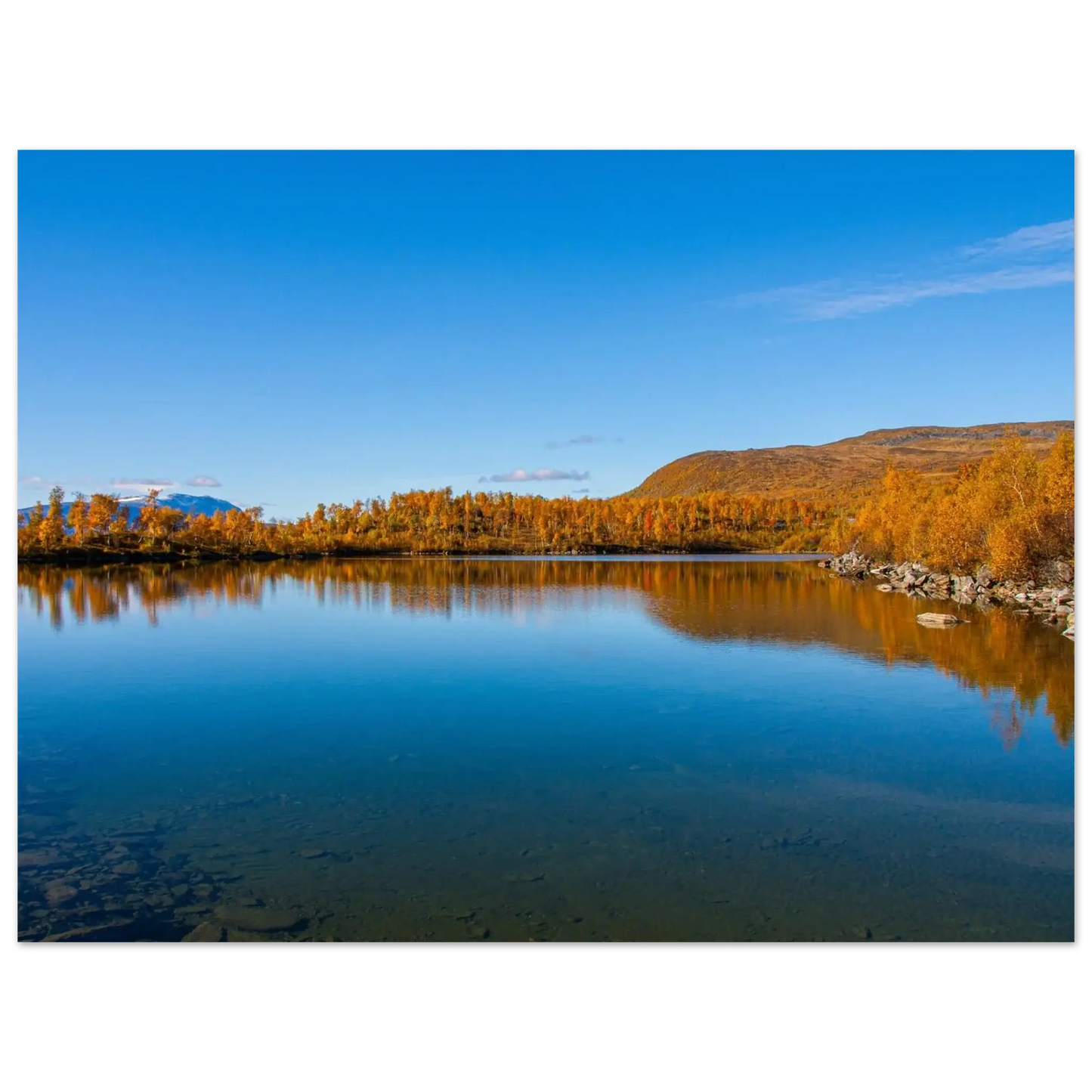 24bcf9de-bb10-4bfb-87c6-ca95923f3c91