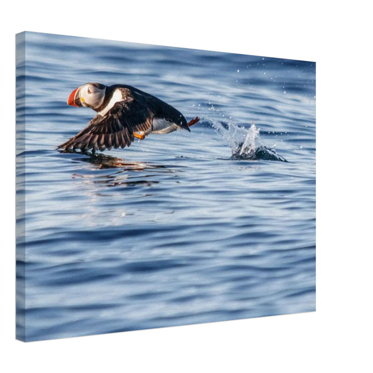 26cdad4d-a037-4648-a109-f06e1d326a55