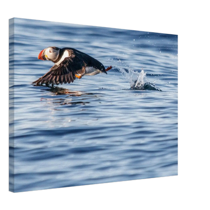 26cdad4d-a037-4648-a109-f06e1d326a55