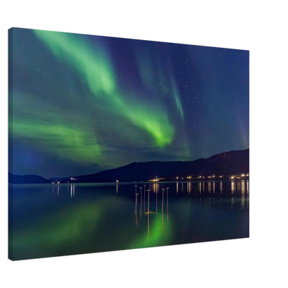 278d2a42-31fa-4c29-bdb7-a276b4af453e