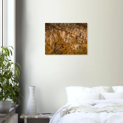 2acc0812-a795-4638-a9a6-730798017594