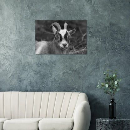 33d40307-99b1-4f43-93df-8a49fe71b00d