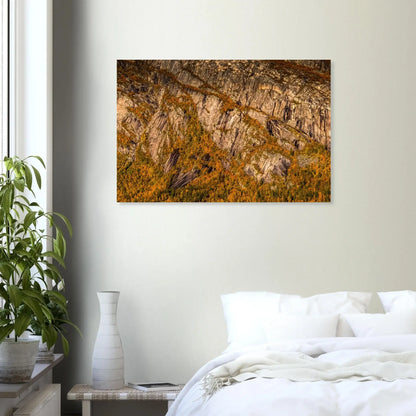 359b857d-462e-4505-b7c7-0609d455f4e7